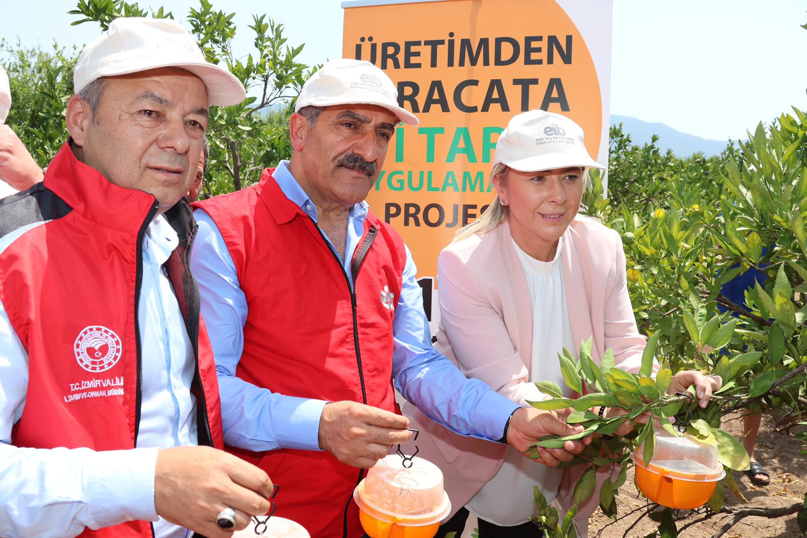 2023 yılı narenciye ihracatında hedef 1 milyar doları aşmak