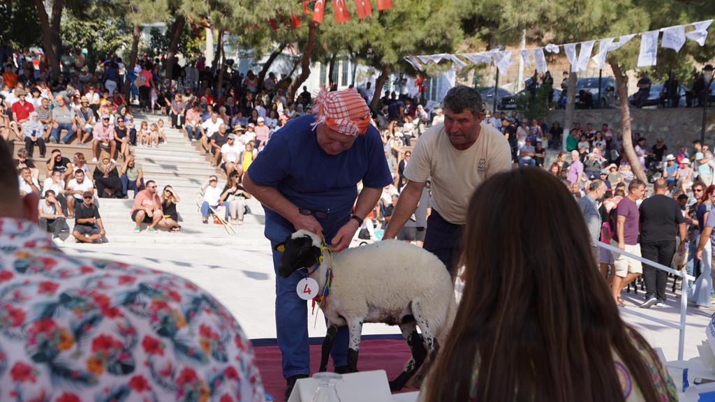‘Sakız güzelleri’ yarıştı, en iyi ‘Çeşme Kavunu’ seçildi