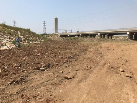 Fetrek Çayı’nda çöpe giden binlerce liralık fidan dikimi