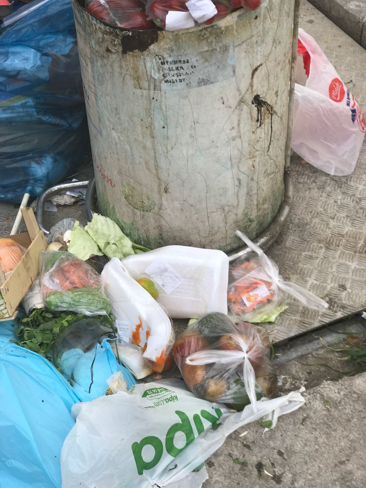 "Gördüğünüze inanın" bunlar Kipa'nın eseri