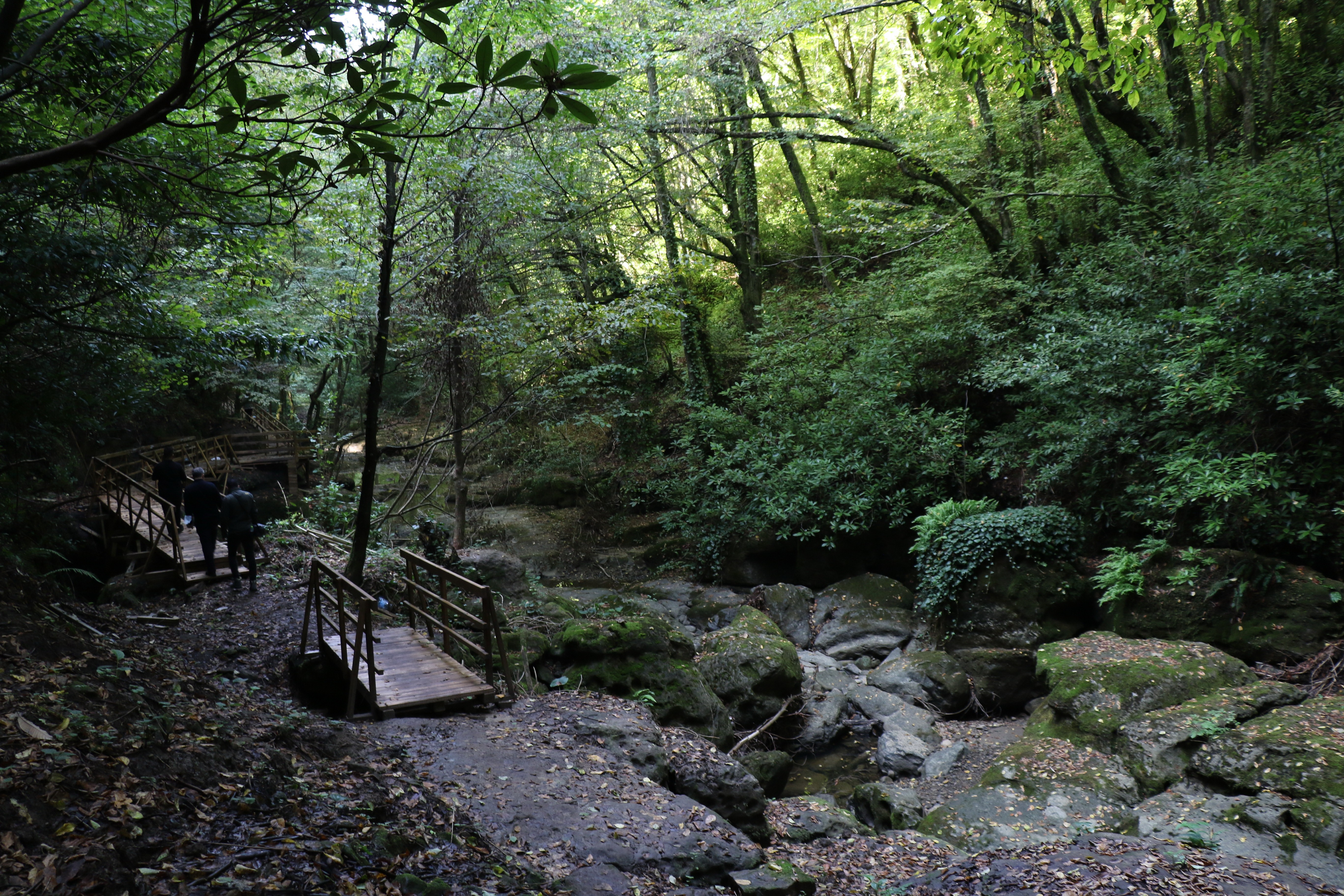 Zonguldak, kömür ve doğalgazın ardından şimdi de doğasıyla dünyaya açılacak