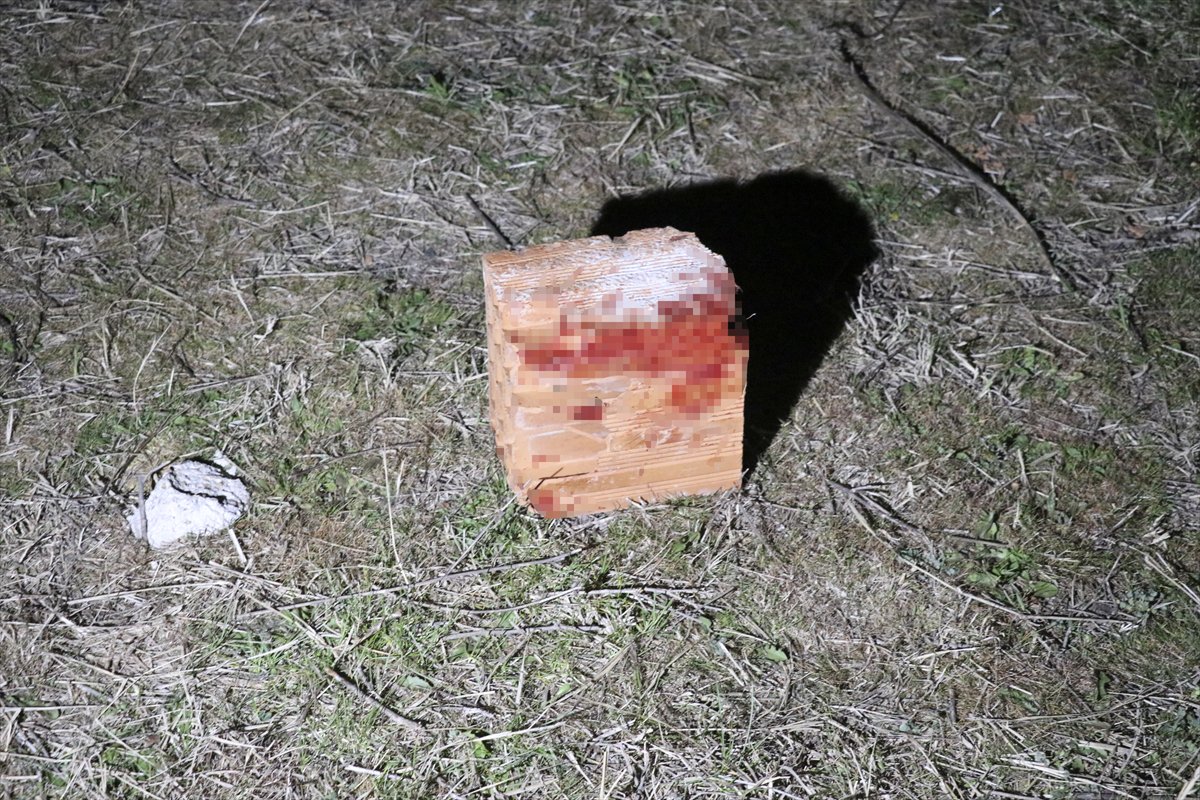 Kırklareli'nde kaybolan 11 yaşındaki Zeynep, başına tuğla ile vurulmuş halde ölü bulundu