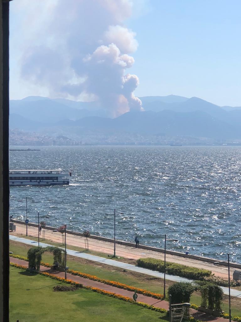 İzmir Balçova'da yangın!
