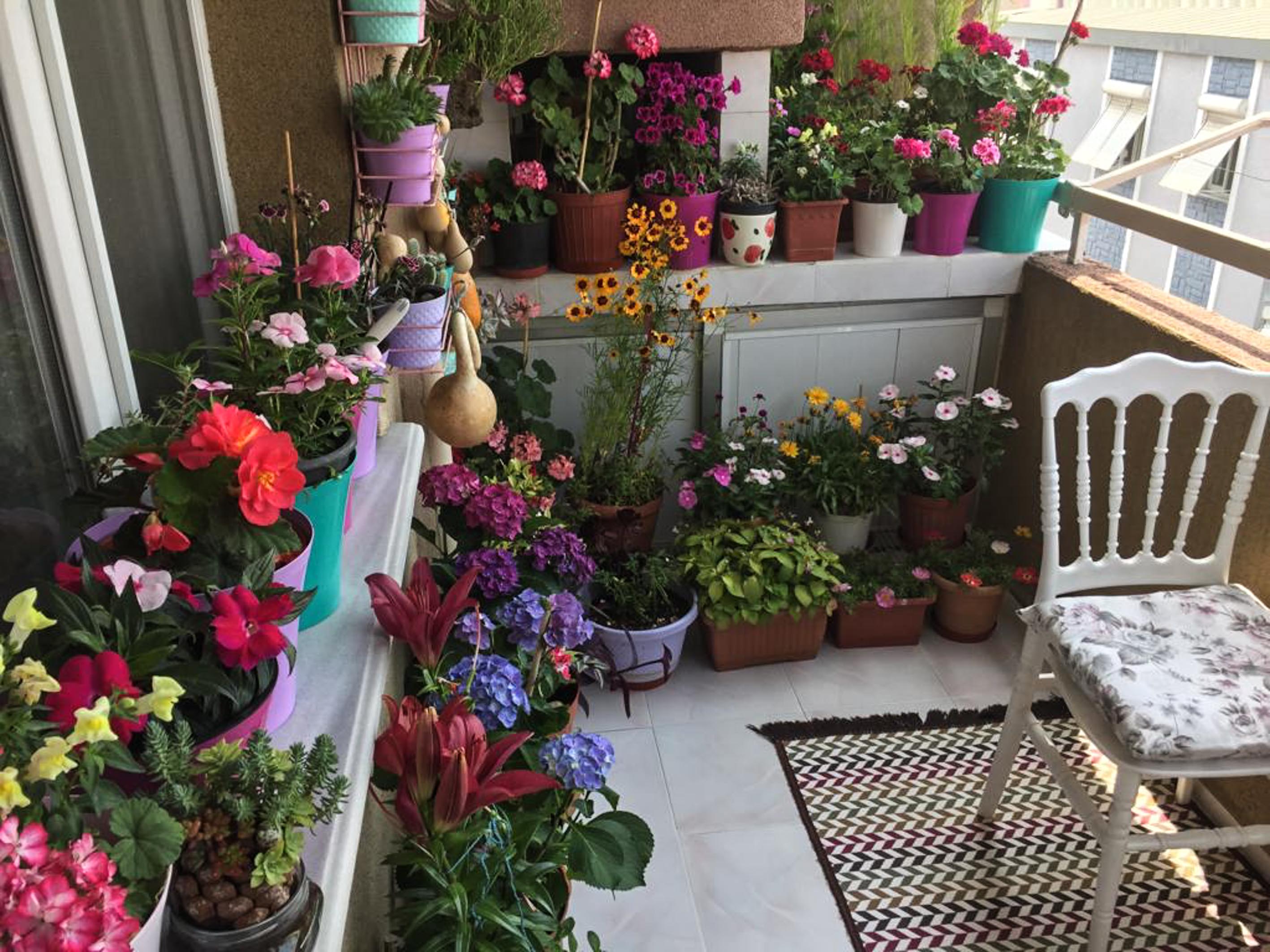 Buca'nın en güzel balkonu seçildi