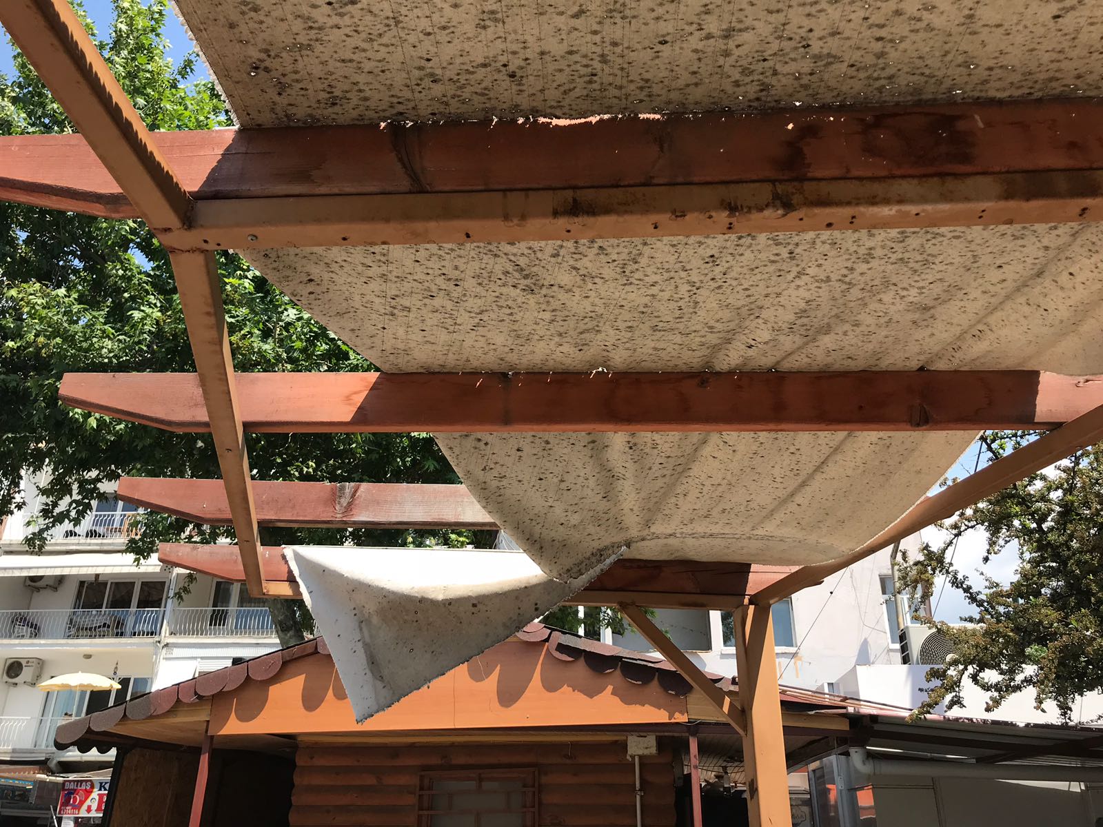 Dikili'de parklar bakımsızlıktan çürüyor