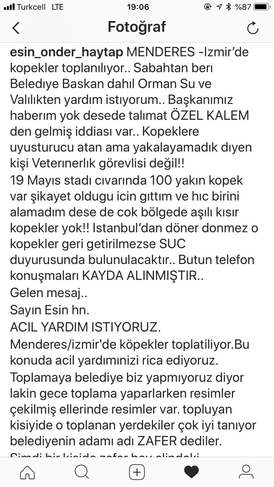Hayvanseverler kaybolan 80 köpeği arıyor
