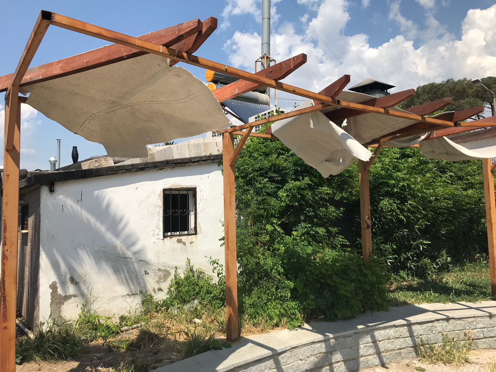 Dikili'de parklar bakımsızlıktan çürüyor