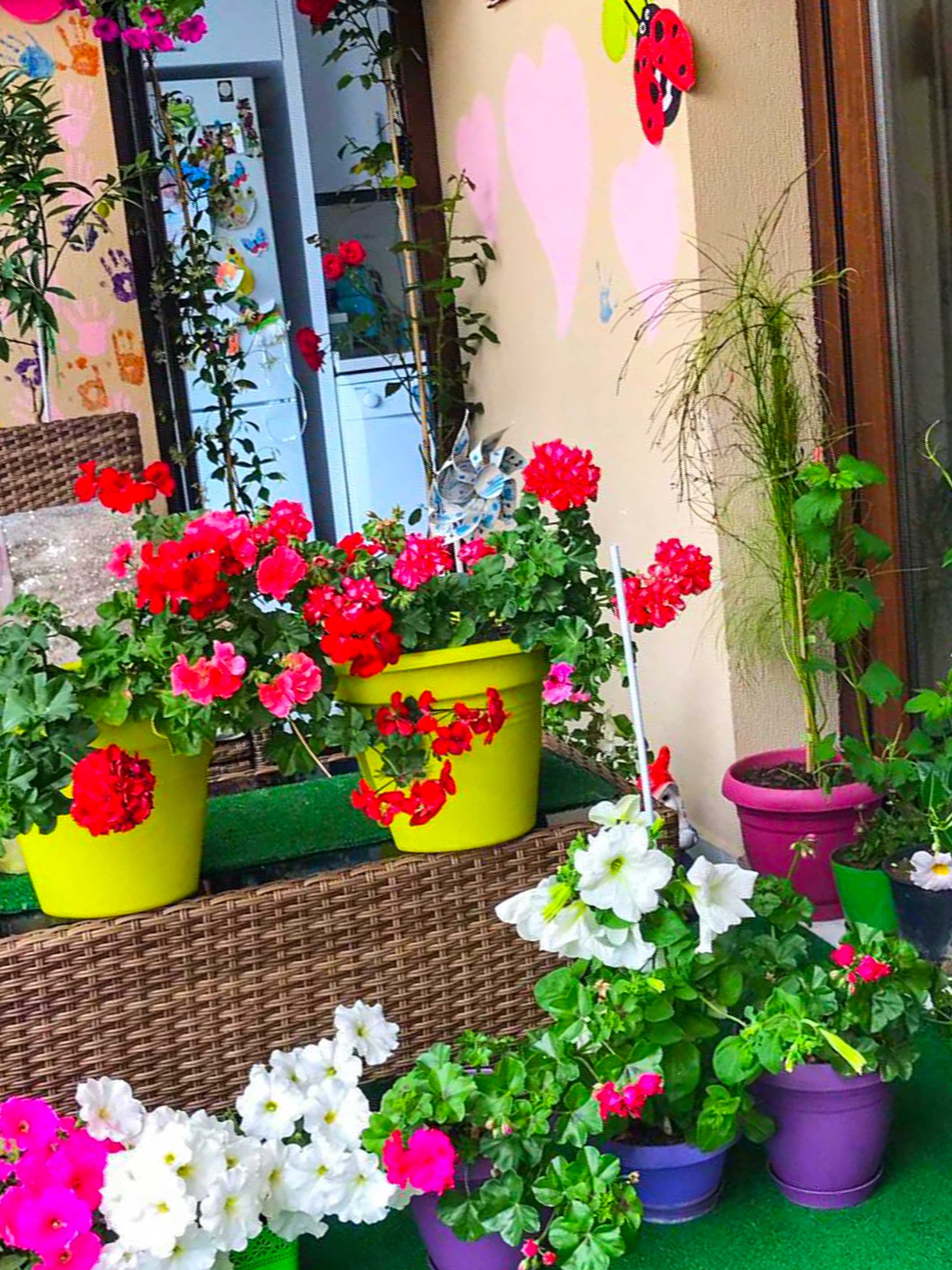 Buca'nın en güzel balkonu seçildi
