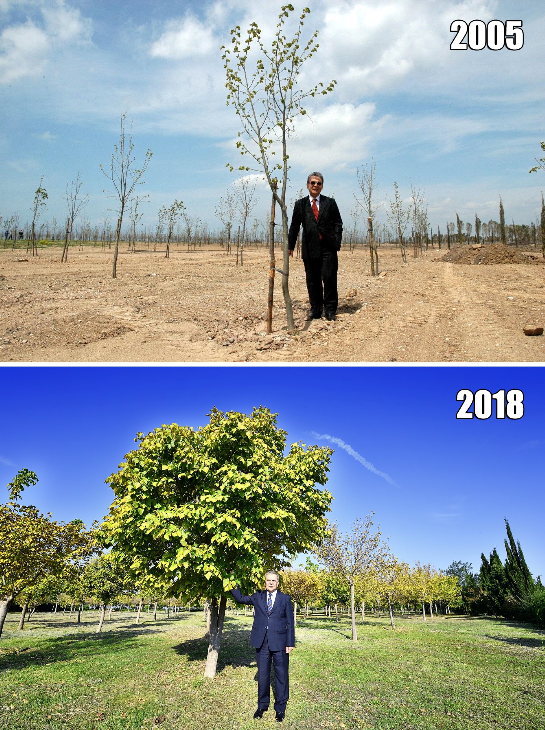 O ağacın altında
