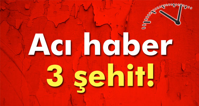 DİYARBAKIR'DAN ACI HABER: 3 ŞEHİT!