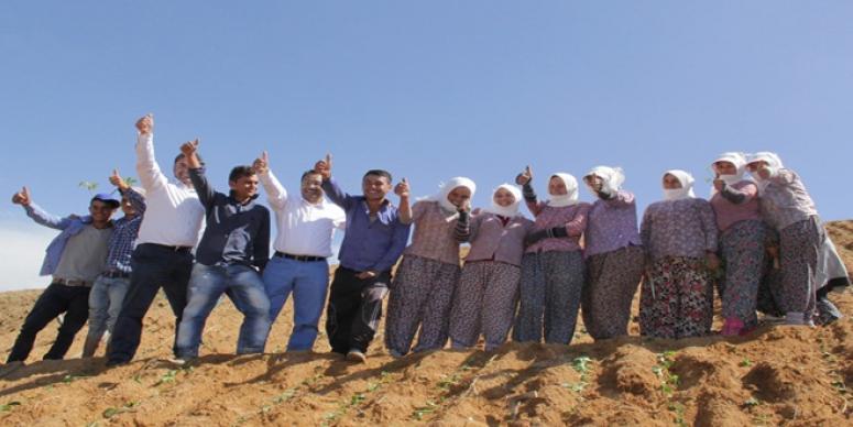 SP ADAYLARI TÜTÜN İŞÇİLERİNDEN TAM NOT ALDI