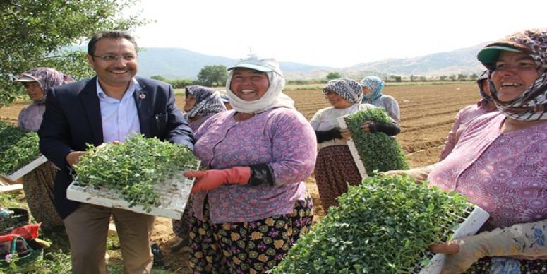 ÖDEMİŞ’TE SAADET RÜZGÂRI