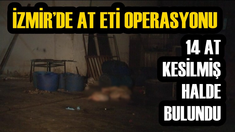 İZMİR’DE AT ETİ OPERASYONU: 14 AT KESİLMİŞ HALDE BULUNDU