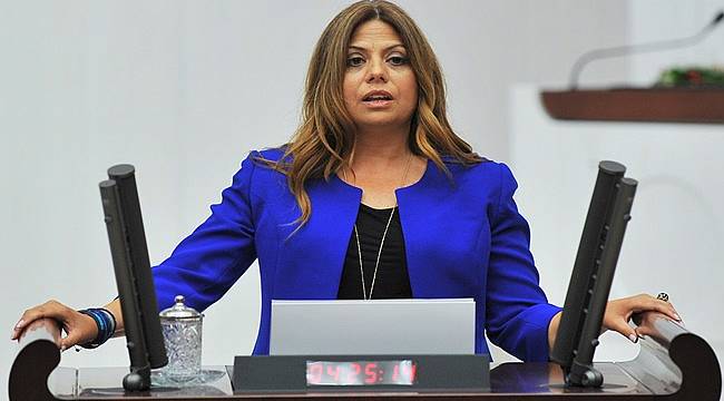 Altıok Eğitim-Bir-Sen Raporunu Meclis Gündemine Taşıdı