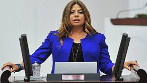 Altıok Eğitim-Bir-Sen Raporunu Meclis Gündemine Taşıdı