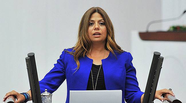 CHP'li Altıok: OHAL Kültür-Sanata Yönelik Ağır Bir Saldırıya Dönüştü