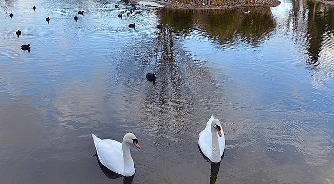 Doğal Yaşam Parkı'na Davetsiz Misafir Sürprizi