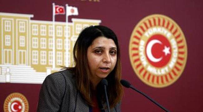 HDP'li İrmez'den İktidara Sert Eleştiri
