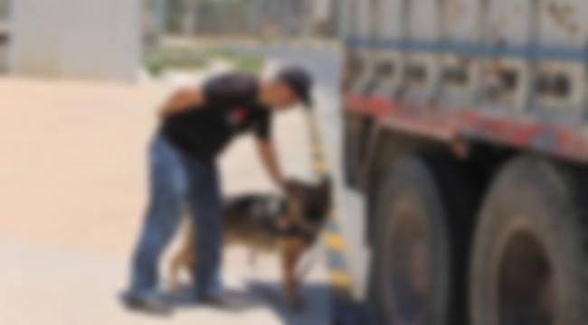 İzmir Bir Kamyondan 1600 Paket Kaçak Sigara Çıktı