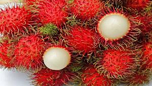 Kansızlığın Çaresi Rambutan Meyvesinde!