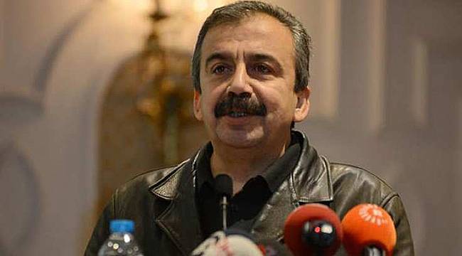 Sırrı Süreyya Önder Gözaltına Alınıp Bırakıldı