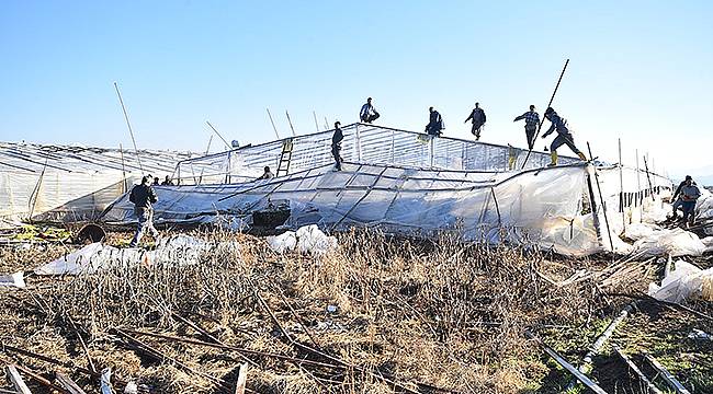 Afet Mağduru Üreticiye Büyükşehir Desteği