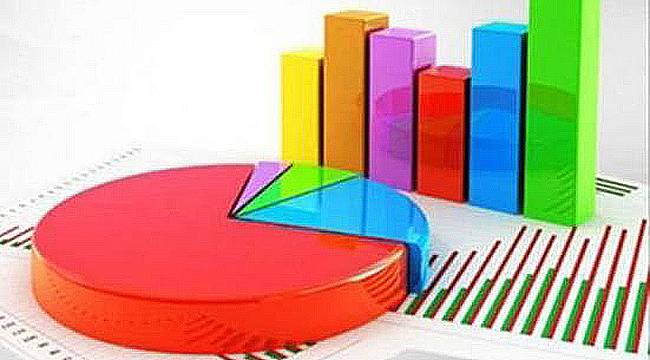 ANAR'dan Son Referandum Anketi
