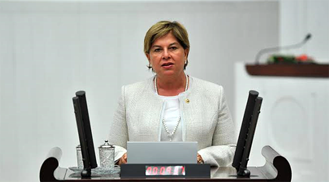 CHP'li Elif Doğan Türkmen Divandaki Görevini Bıraktı