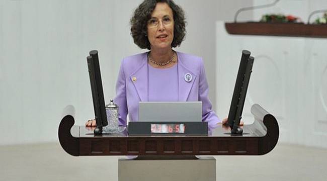 HDP'li Kerestecioğlu: Niye 'Daimî Çocuk Hakları Komisyonu' Kuramıyoruz