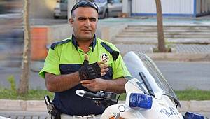 O Saldırının Talimatını Veren PKK'lı Öldürüldü