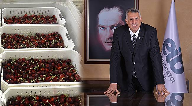 Türk Meyveleri Uçakla Seyahat Edecek Dünya Sofralarını Süsleyecek