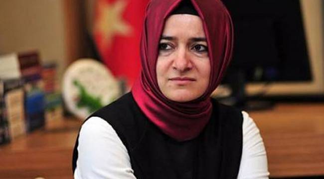 Bakan Kaya, Türkiye'ye Döndü
