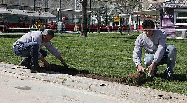 Bayraklı’da Ağaçlandırma Çalışması