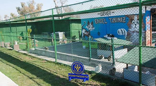 Hayvan Hakları Konusunda Örnek İşbirliği