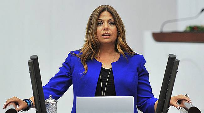 Zeynep Altıok, Fazıl Say'ı Meclis Gündemine Taşıdı