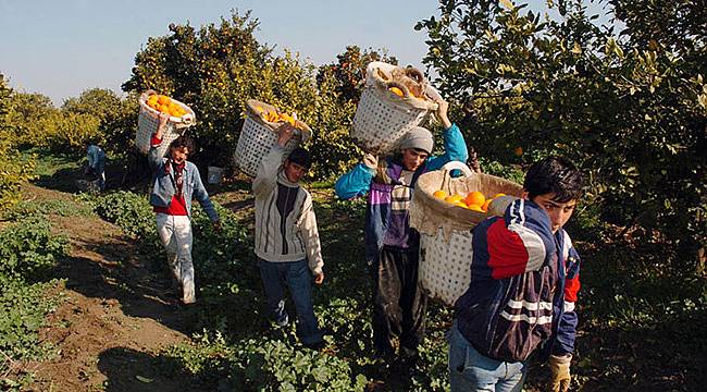 23 Nisan’da Hayati Rapor: Türkiye’de İki Milyon Çocuk Çalışıyor