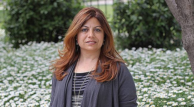 Altıok: AKP'nin Asıl Amacı Meclisi Yok Etmek