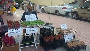İhraç Edilen Öğretmen Erik Satıyor