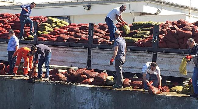 İzmir’de 24 Ton Kaçak Midyeye El Konuldu