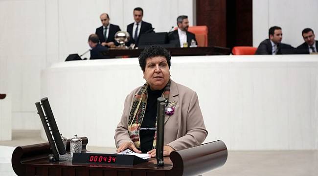 Şenal Sarıhan: "OHAL Komisyonlarına Gerek Kalmadı mı?"