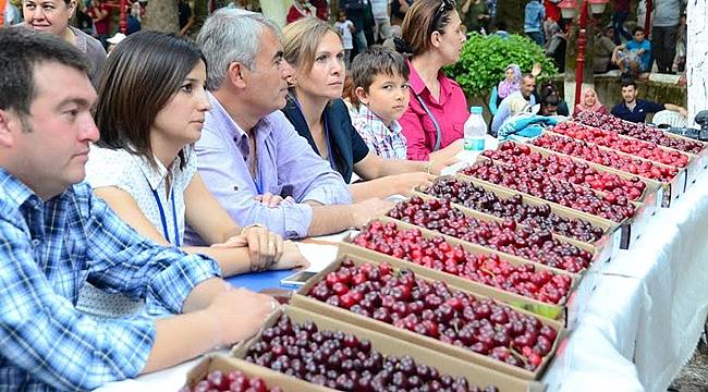46. Altın Kiraz Kültür ve Sanat Festivali Başlıyor