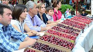 46. Altın Kiraz Kültür ve Sanat Festivali Başlıyor