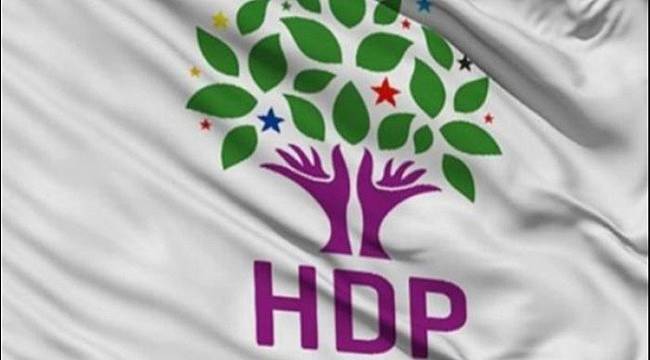 HDP'den Açıklama: Eş Başkan Değil Vekil Atadık
