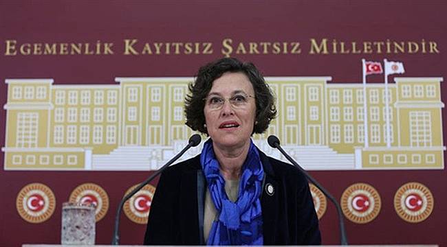 HDP'den Atatürk'e Hakarete Tepki