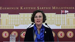 HDP'den Atatürk'e Hakarete Tepki