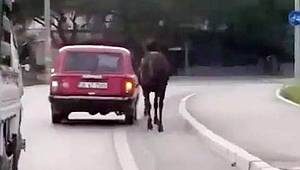 İzmir'de Vicdansız Sürücüden Kan Donduran Görüntüler!