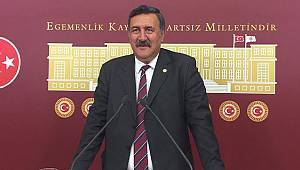 Sanat Tarihi Dersi Kaldırılıyor mu?
