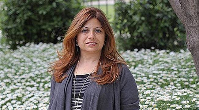 Zeynep Altıok: Erkence Zeytini Yok Olacak