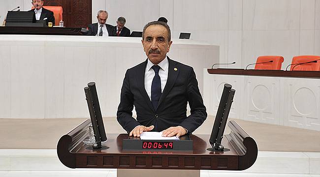 CHP'li Yiğit: Orman Yangınının Yaraları Ne Zaman Sarılacak