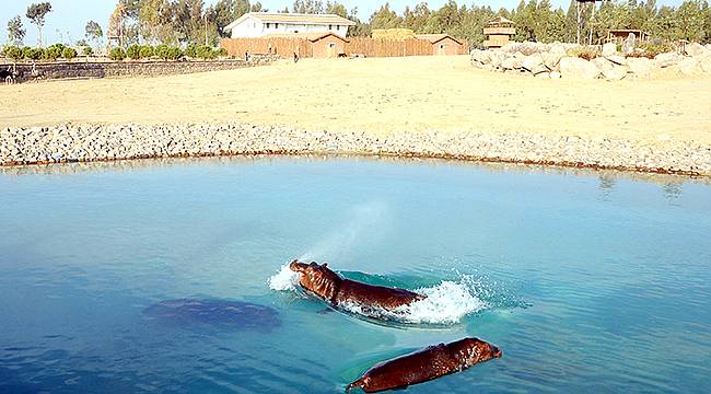 'Doğal Yaşam' Ailesi Büyüyor